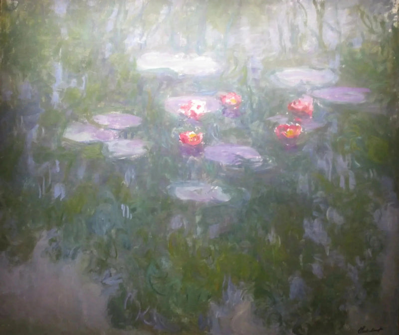 Ninfee, Museo Marmottan Monet W1864 - Claude Monet