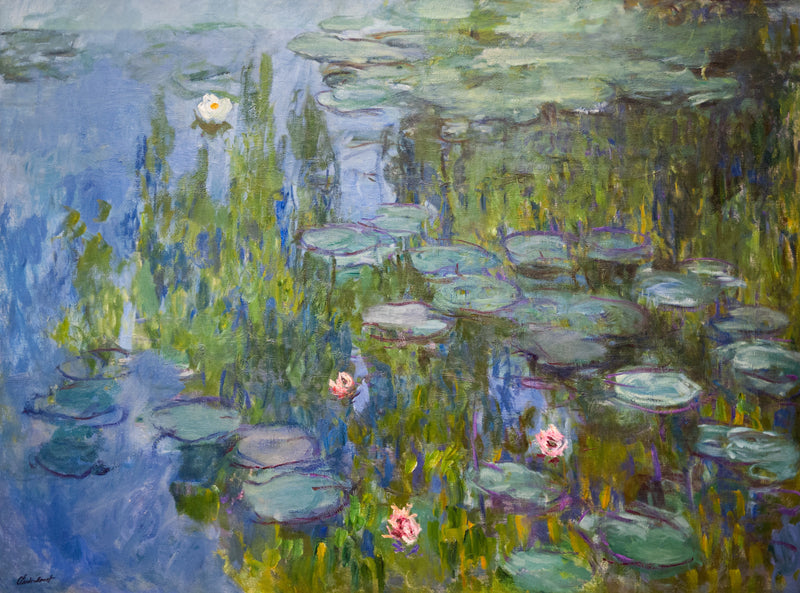 Ninfee, Neue Pinakothek W1796 - Claude Monet