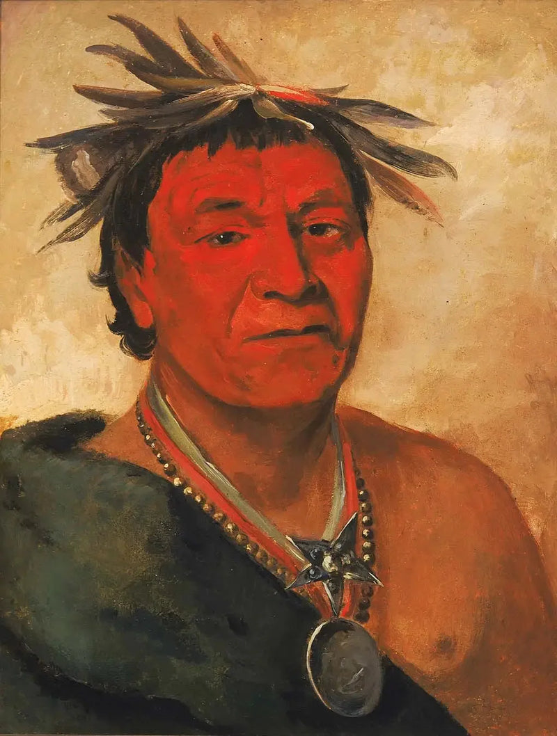 O-ho-páh-sha, Piccolo Whoop, un guerriero distinto - George Catlin