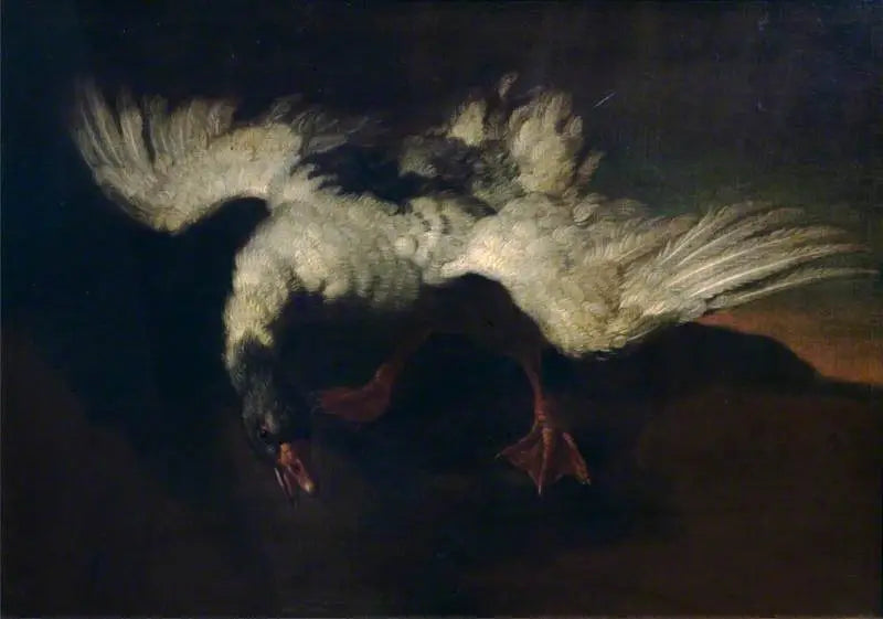 Oca con ali spiegate - George Stubbs