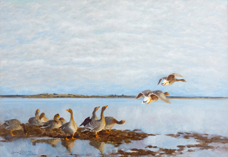 Oche - Bruno Liljefors