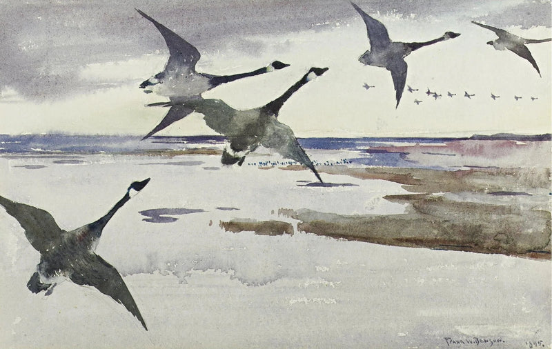 Oche del Canada - Frank Weston Benson