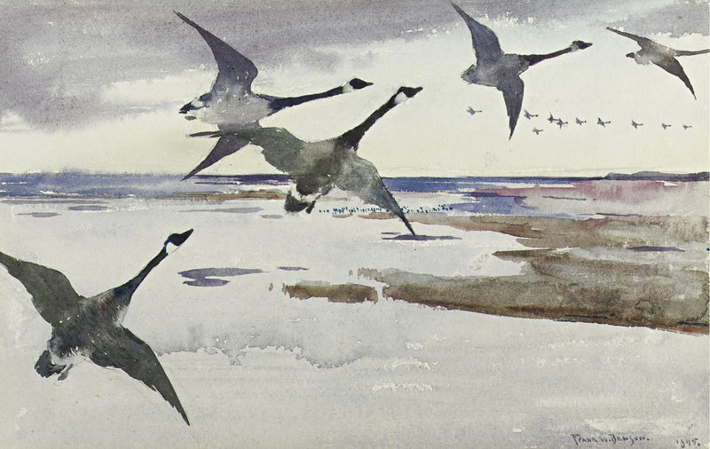 Oche del Canada - Frank Weston Benson