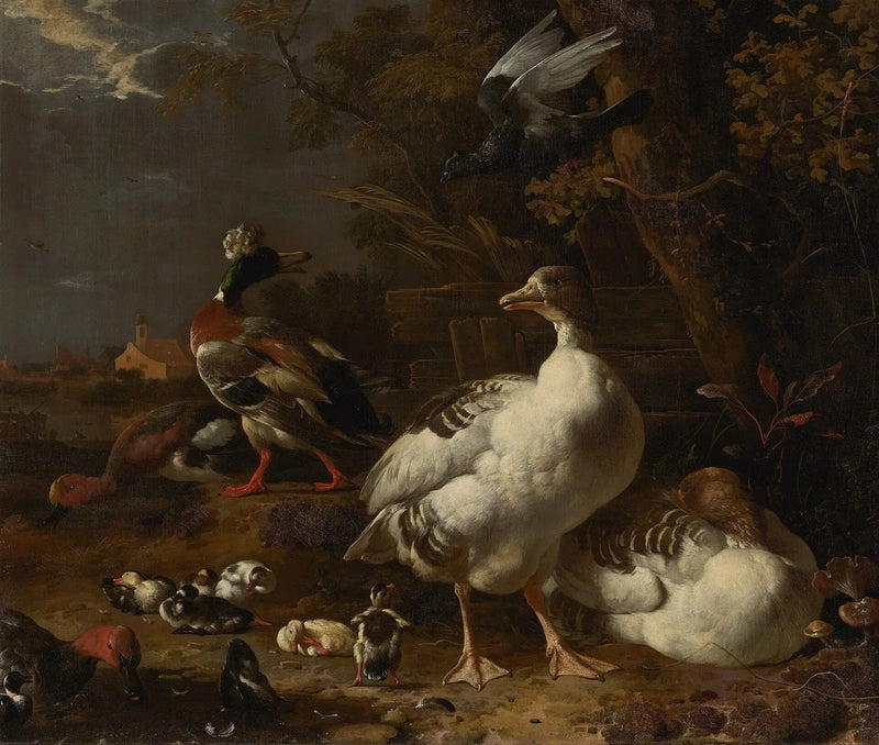 Oche e anatre - Melchior de Hondecoeter
