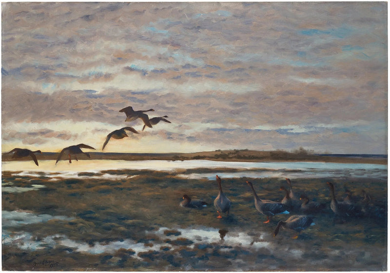 Oche selvatiche nel campo - Bruno Liljefors