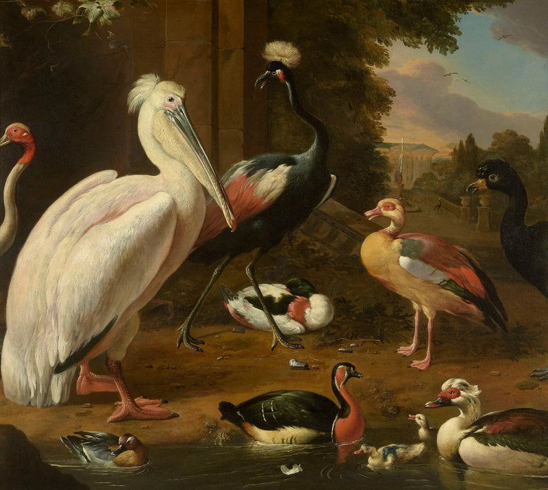 Uccelli acquatici - Melchior de Hondecoeter