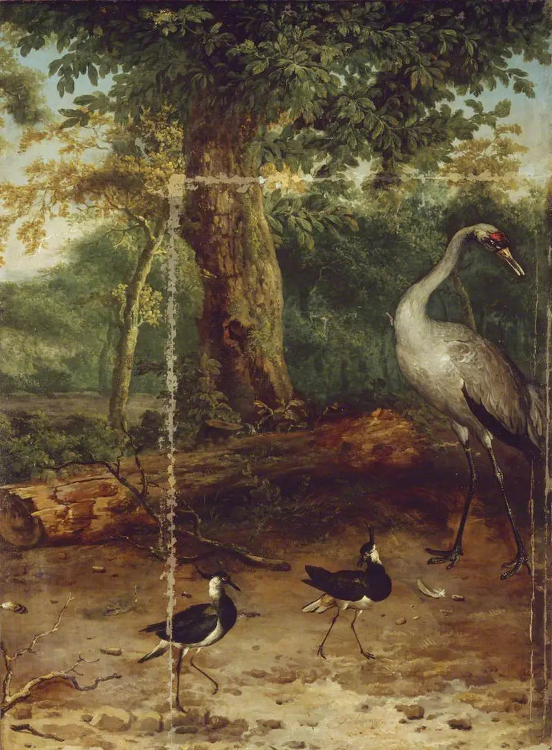Uccelli in un bosco - Melchior de Hondecoeter