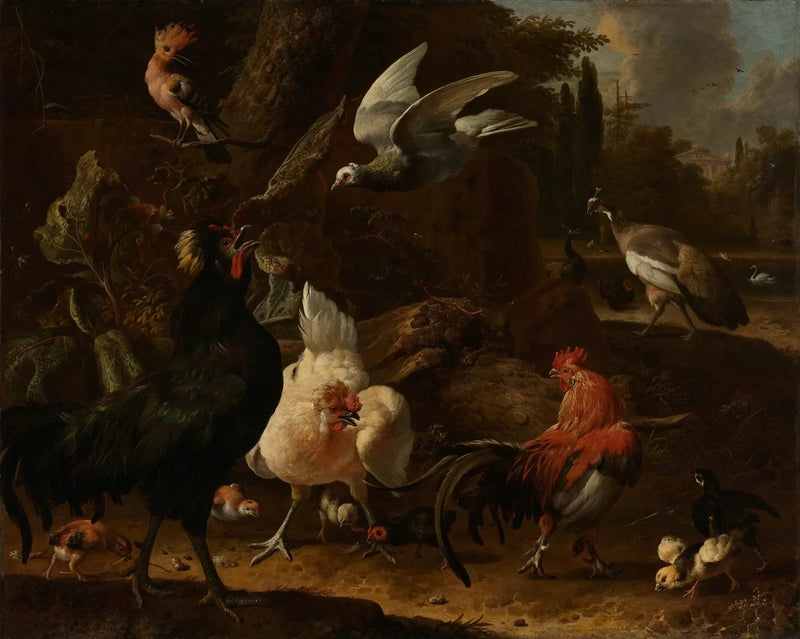 Uccelli in un parco - Melchior de Hondecoeter