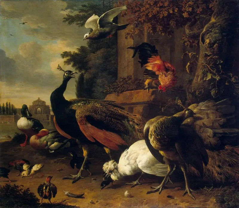 Uccelli in un parco - Melchior de Hondecoeter