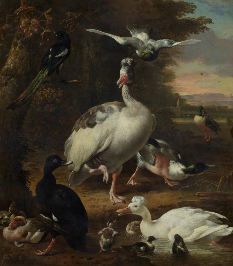 Uccelli - Melchior de Hondecoeter