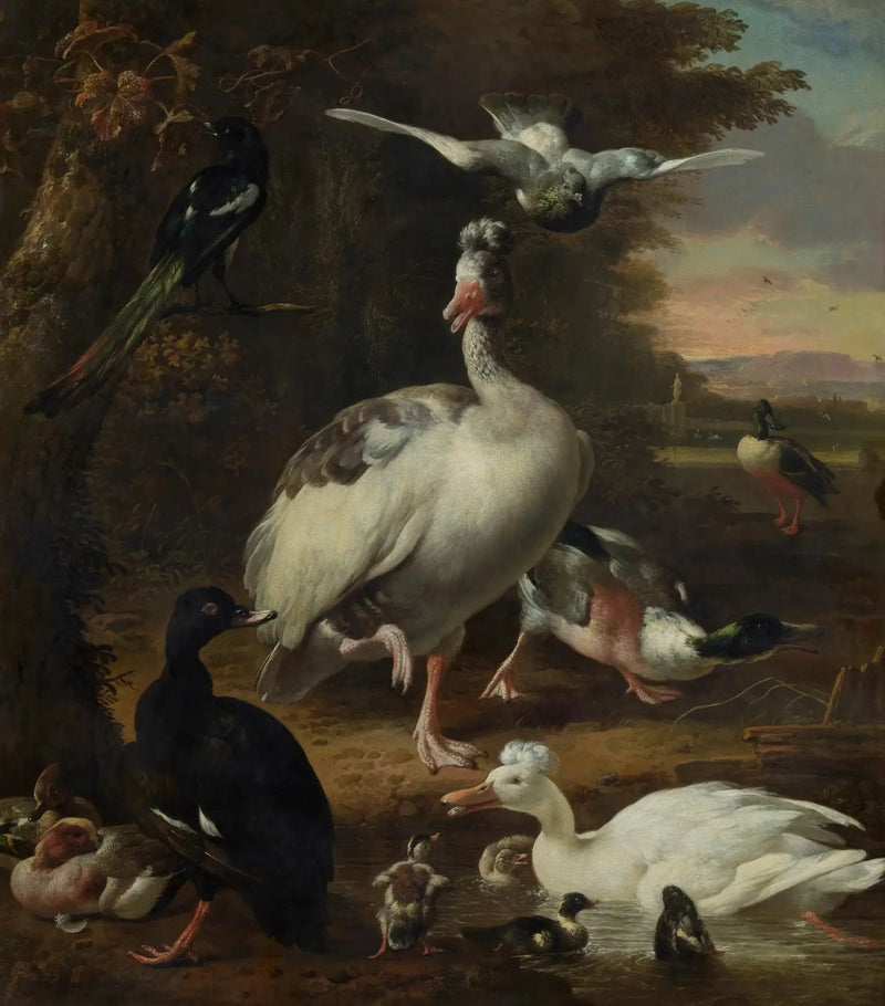 Uccelli - Melchior de Hondecoeter
