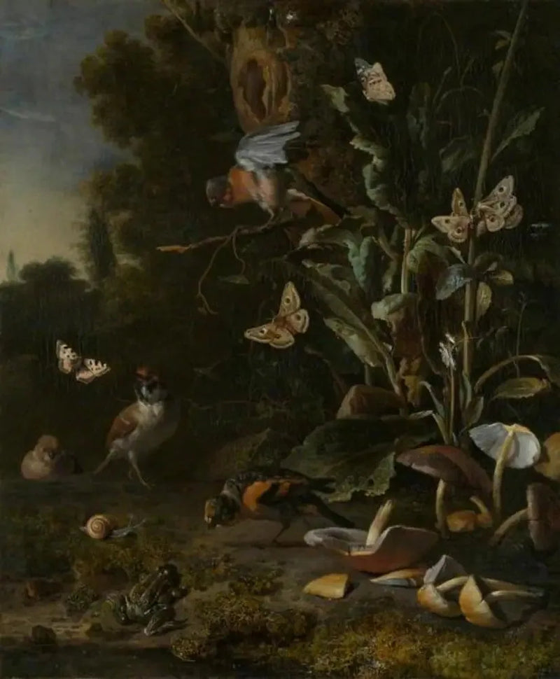 Uccelli, farfalle e una rana tra le piante e i funghi - Melchior de Hondecoeter