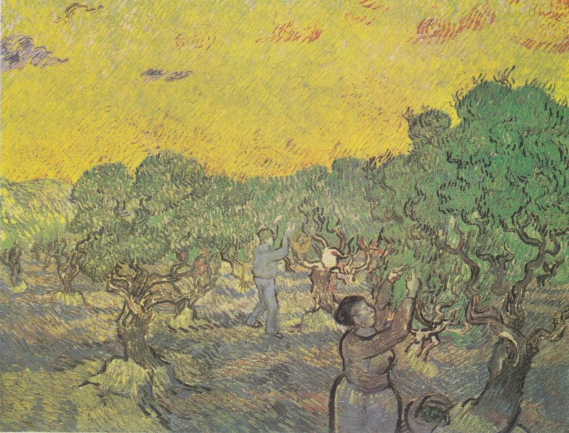 Uliveto con figure di raccolta - Vincent van Gogh