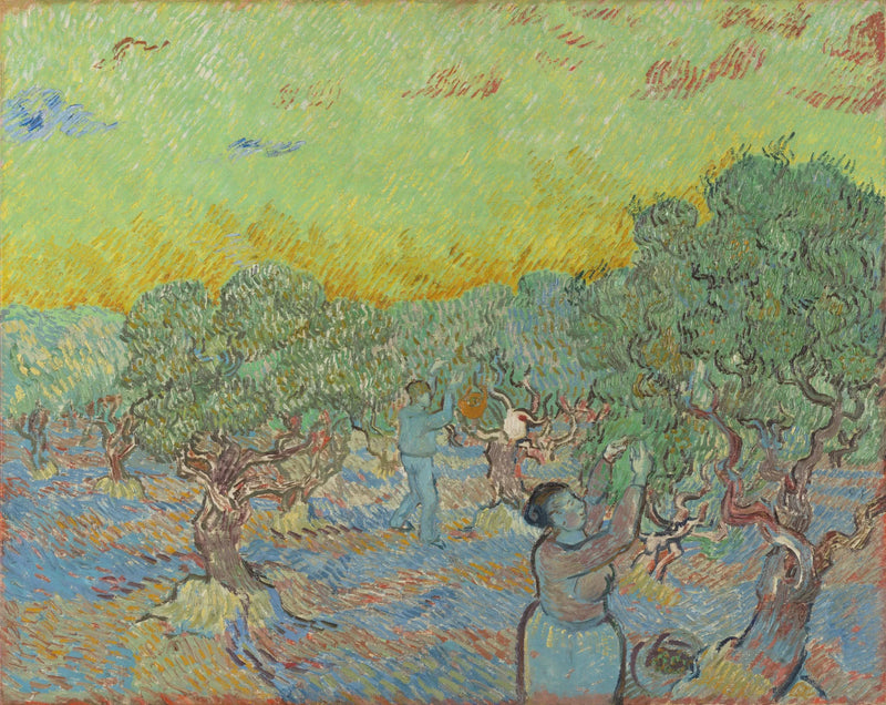 Uliveto con figure di raccolta - Vincent van Gogh
