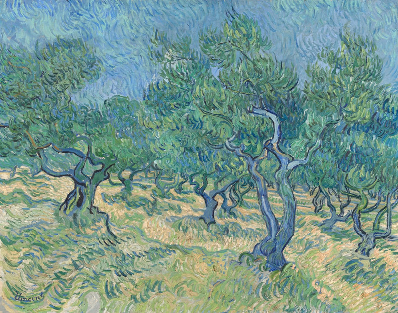 Oliveto - Vincent van Gogh