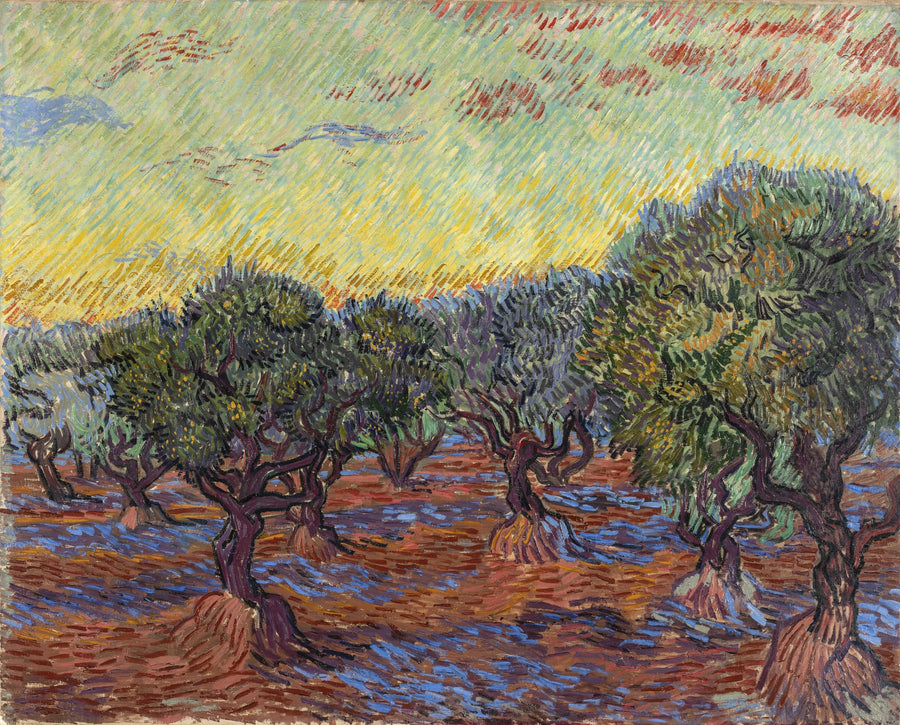 Uliveto, Saint-Rémy - Vincent van Gogh
