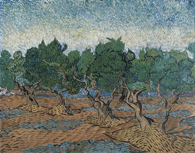 Oliveto - Vincent van Gogh