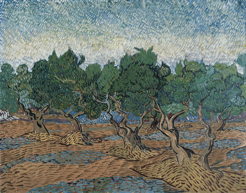 Oliveto - Vincent van Gogh
