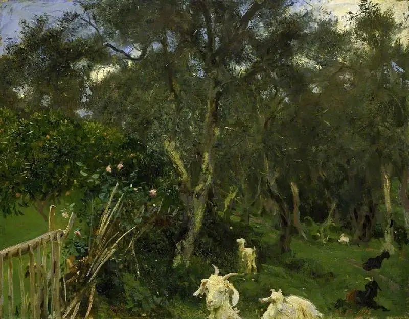 Olive a Corfù - John Singer Sargent
