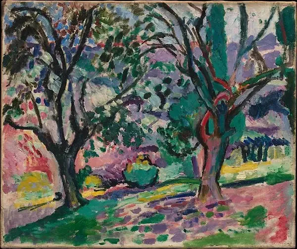 Ulivi a Collioure - Henri Matisse