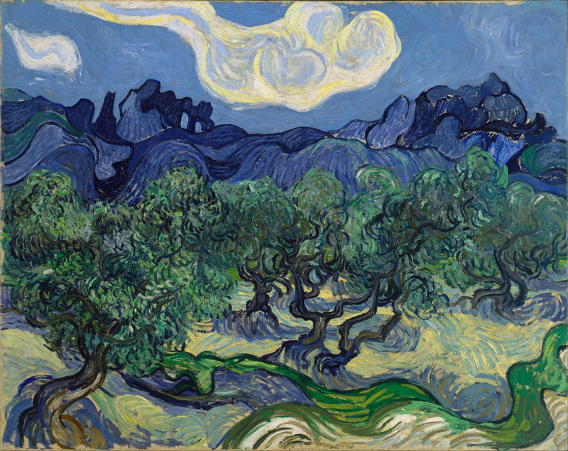 Ulivi con le Alpilles sullo sfondo - Vincent van Gogh