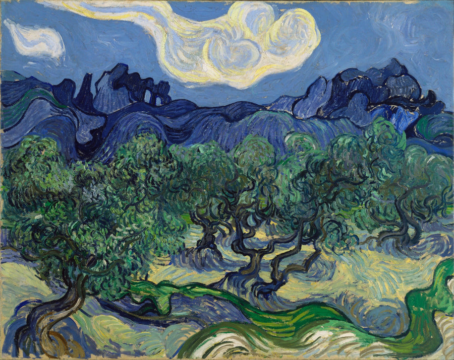 Ulivi con le Alpilles sullo sfondo - Vincent van Gogh