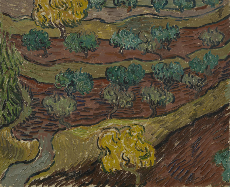Ulivi su una collina - Vincent van Gogh