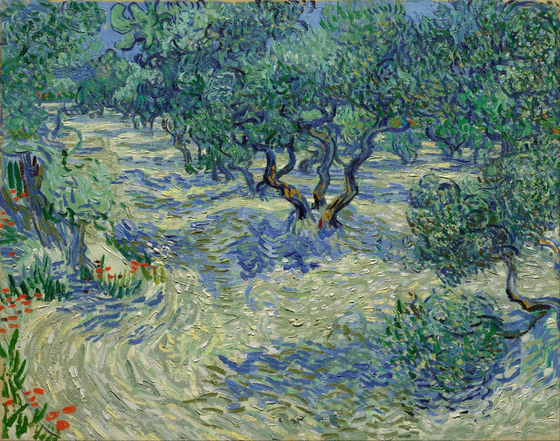 Oliveto - Vincent van Gogh