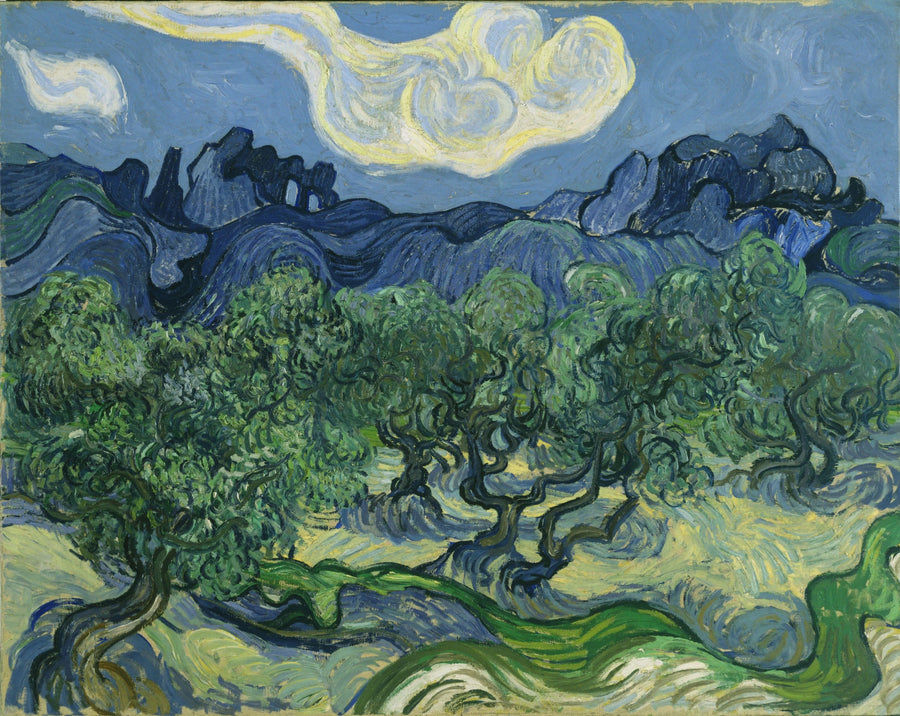 Olivi - Vincent van Gogh