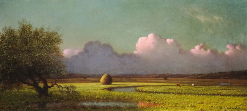 Ombre e luce: le paludi di Newbury - Martin Johnson Heade
