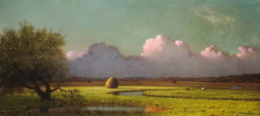 Ombre e luce: le paludi di Newbury - Martin Johnson Heade