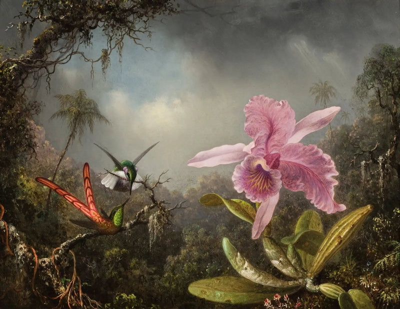 Orchidea con due colibrì - Martin Johnson Heade
