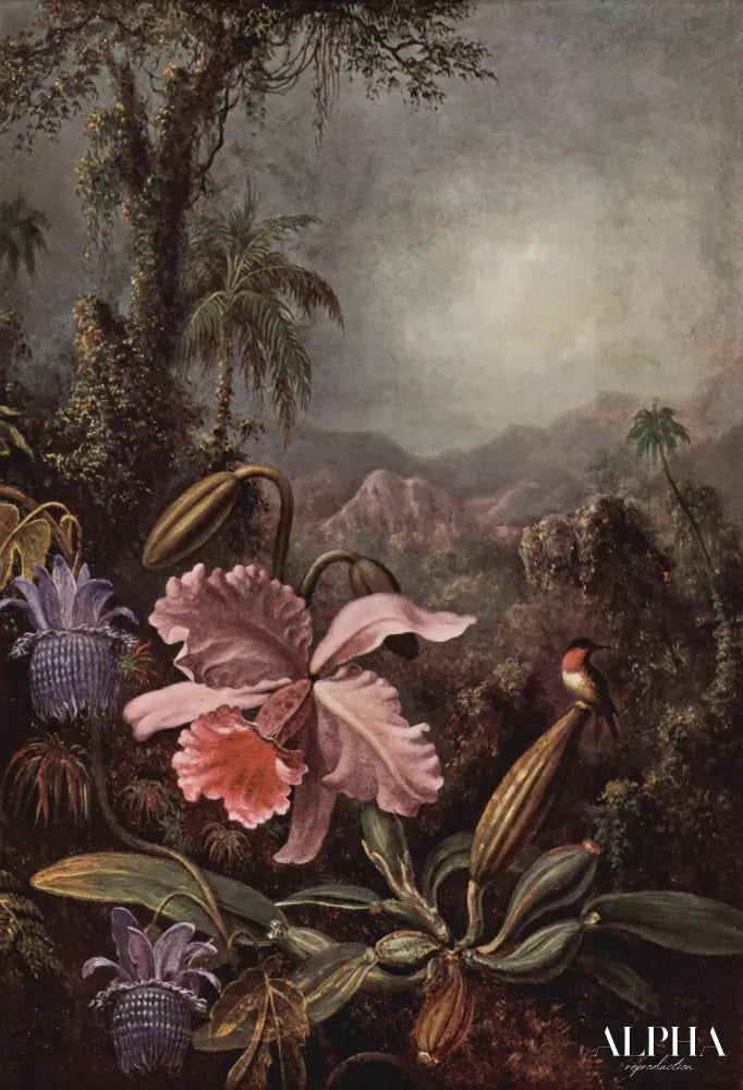 Orchidée, Passiflore et Colibri - Martin Johnson Heade - Reproductions de tableaux et peintures haut de gamme