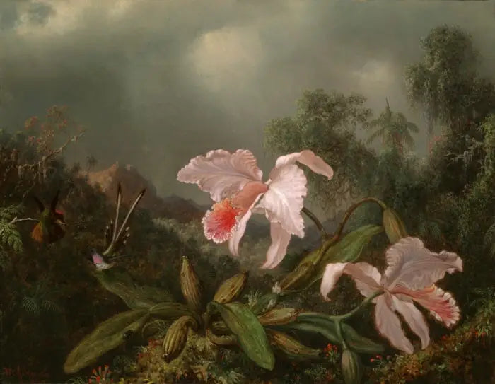 Orchidee della giungla e colibrì - Martin Johnson Heade