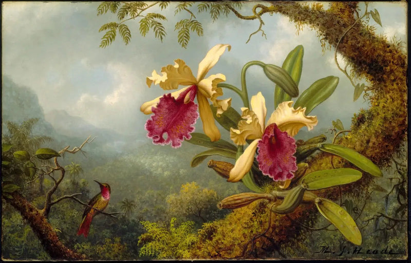Orchidee e colibrì - Martin Johnson Heade