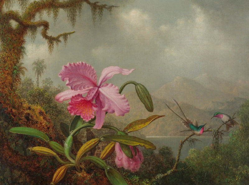 Orchidee e colibrì - Martin Johnson Heade