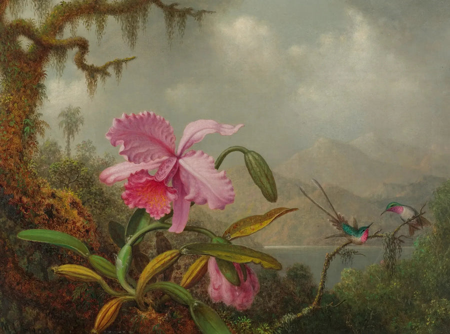 Orchidee e colibrì - Martin Johnson Heade
