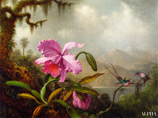 Orchidées et colibris - Martin Johnson Heade - Reproductions de tableaux et peintures haut de gamme