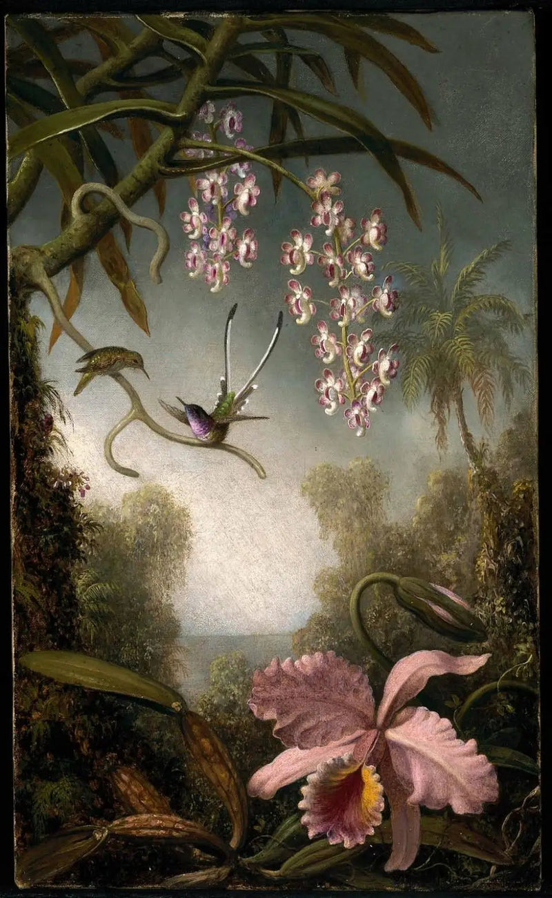 Orchidee e orchidee in spray con colibrì - Martin Johnson Heade