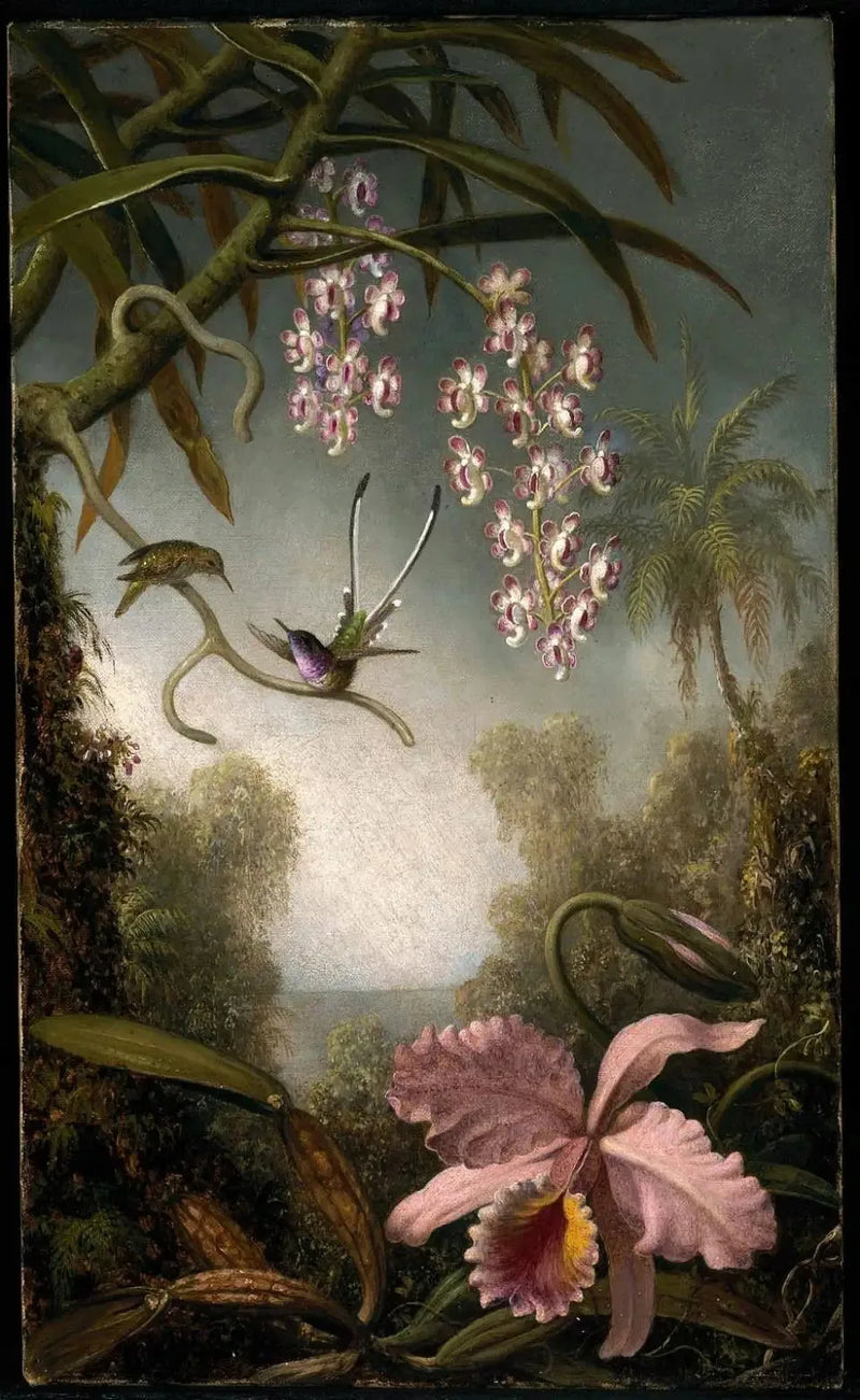Orchidee e orchidee in spray con colibrì - Martin Johnson Heade