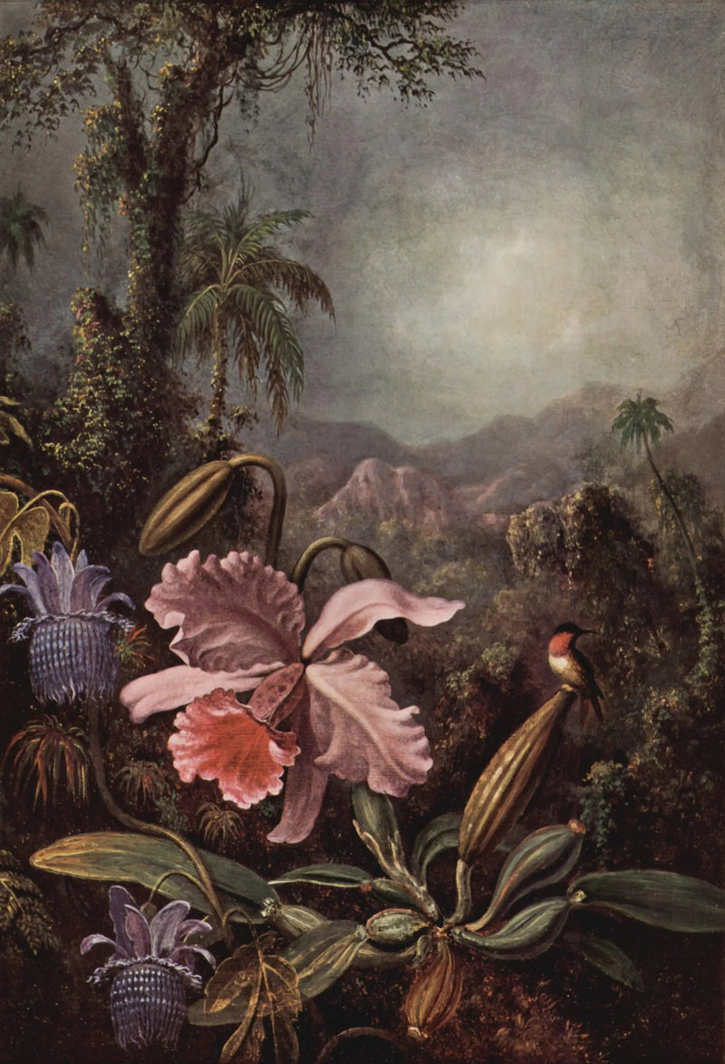 Orchidee, passiflore e colibrì - Martin Johnson Heade