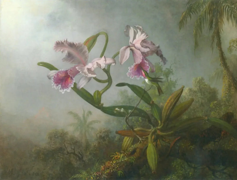 Orchidee rosa e colibrì su un ramoscello - Martin Johnson Heade