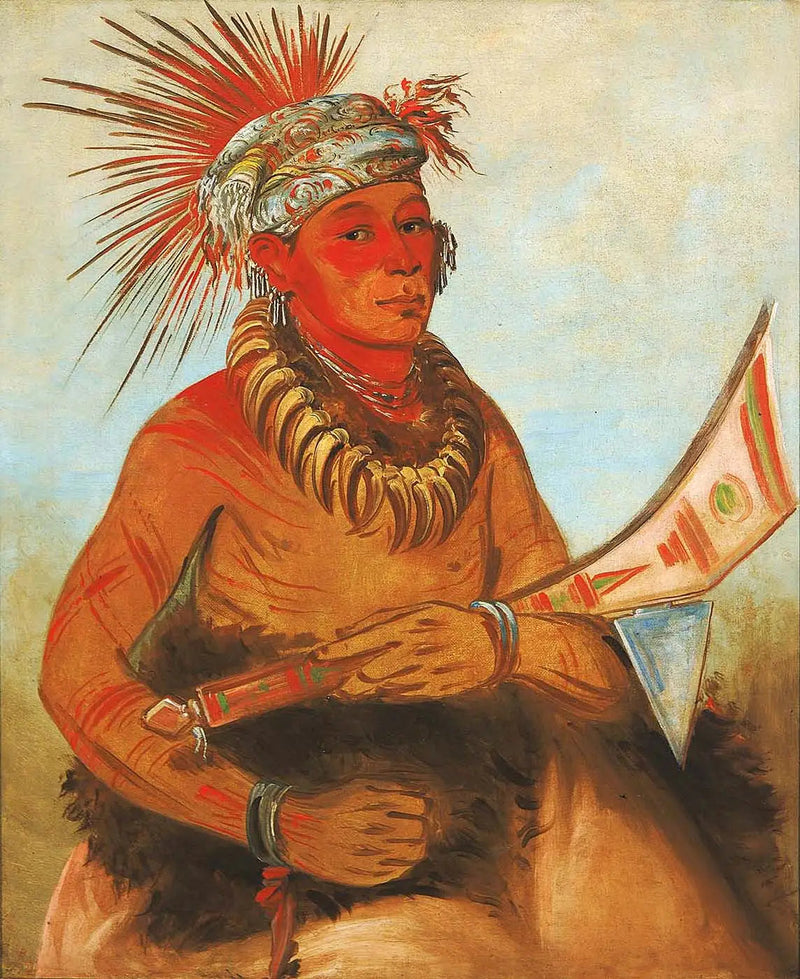 Pah-ta-cóo-chee, Shooting Cedar, un coraggioso - George Catlin