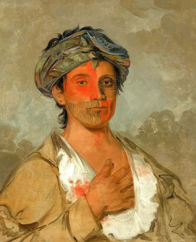 Pah-te-cóo-saw, uomo etero, semi-civilizzato - George Catlin