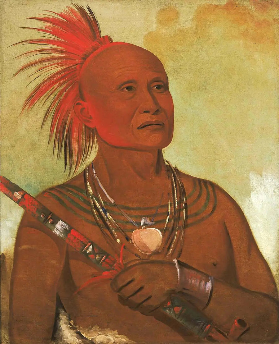 Pam-a-hó, il nuotatore, uno dei guerrieri di Black Hawk - George Catlin