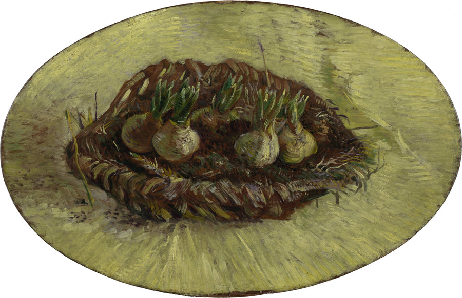 Cesto di bulbi di giacinti - Vincent van Gogh
