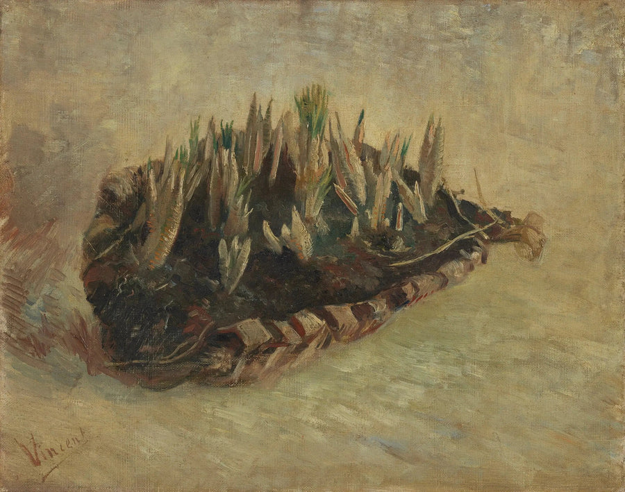 Cesto di bulbi di croco - Vincent van Gogh