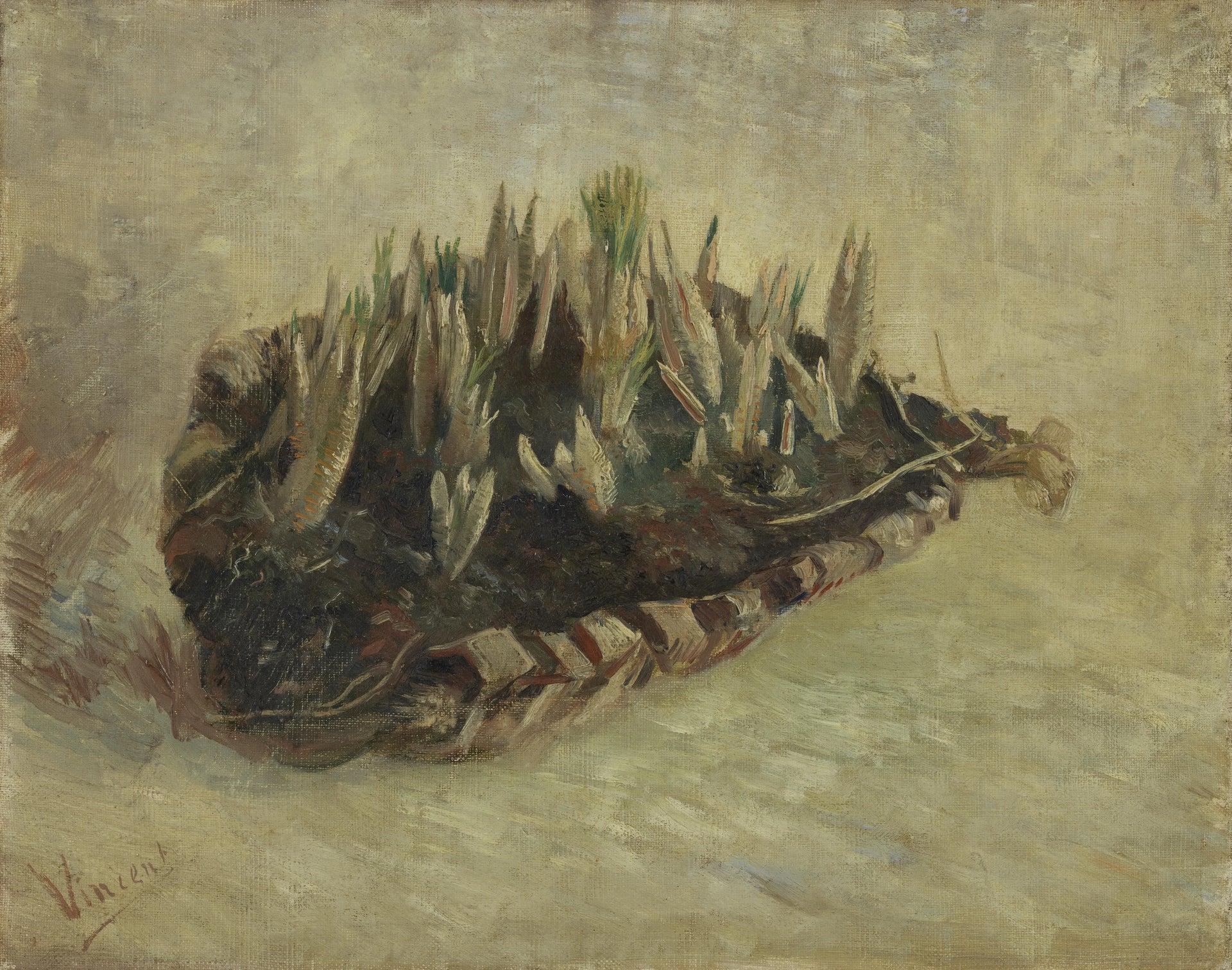 Panier de bulbes de crocus F334 de Vincent van Gogh, Van Gogh Museum