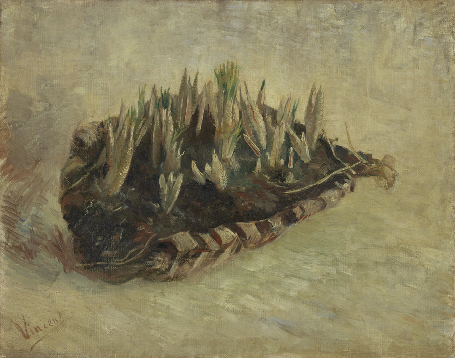 Cesto di bulbi di croco - Vincent van Gogh
