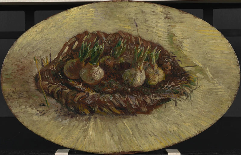 Cesto di bulbi di giacinti - Vincent van Gogh
